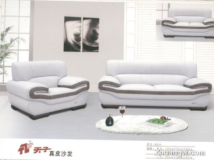 天子沙發家具圖片(九) 匠心工藝，盡顯客廳典雅風范